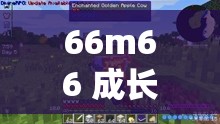 66m66 成长模式视频-大陆 4：探寻独特成长轨迹