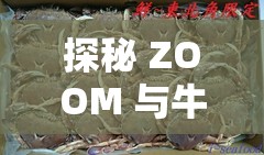 探秘 ZOOM 与牛性胶 ZOOM：神秘背后的故事