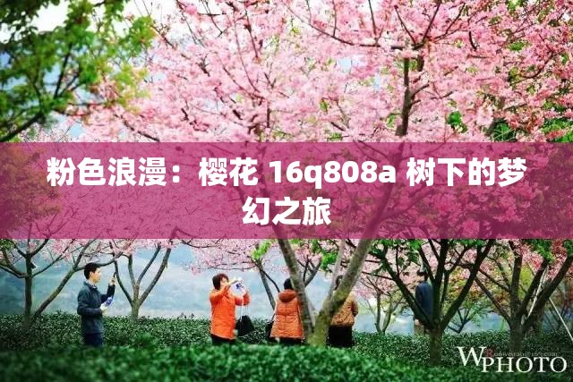 粉色浪漫：樱花 16q808a 树下的梦幻之旅