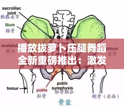 播放拔萝卜压腿舞蹈全新重磅推出：激发舞蹈激情，带来全新视觉体验