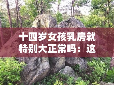 十四岁女孩乳房就特别大正常吗：这其中的原因是什么呢