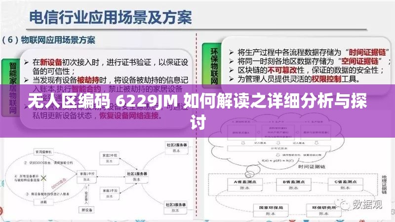 无人区编码 6229JM 如何解读之详细分析与探讨