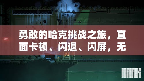 勇敢的哈克挑战之旅，直面卡顿、闪退、闪屏，无畏考验的冒险征程