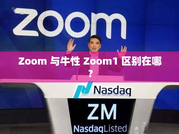 Zoom 与牛性 Zoom1 区别在哪？