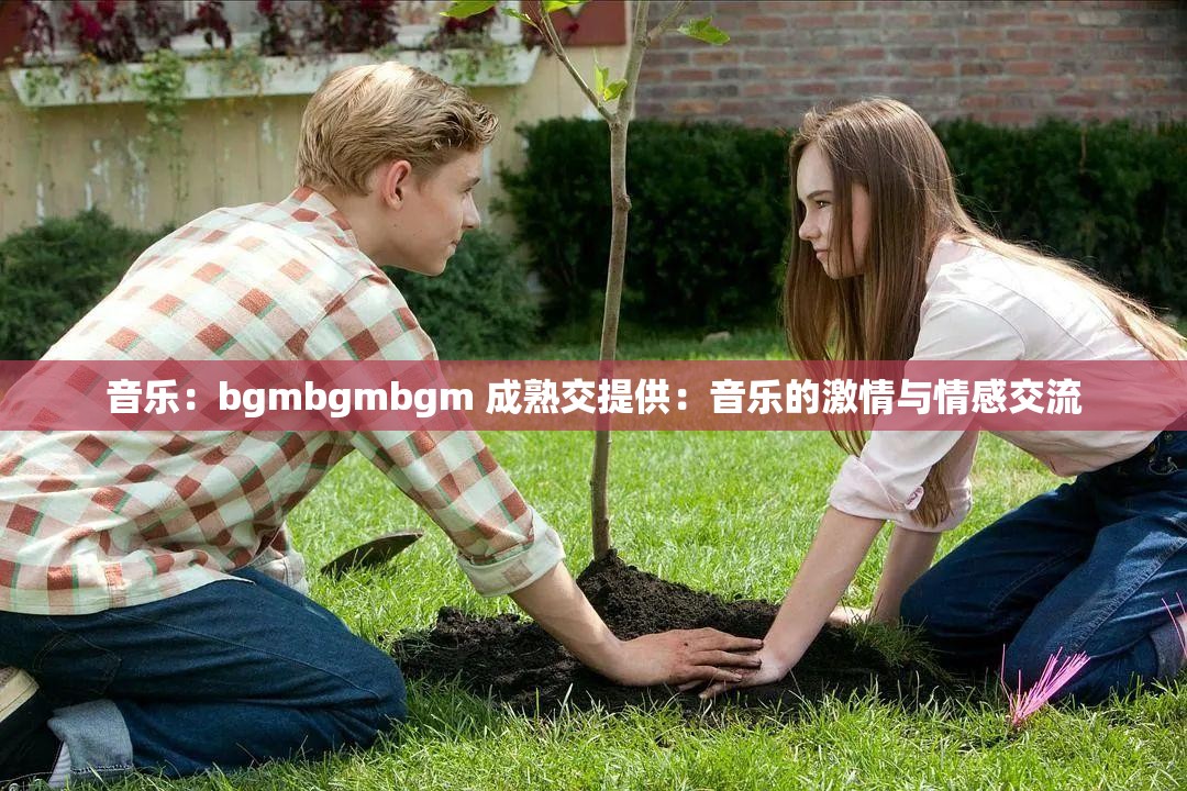 音乐：bgmbgmbgm 成熟交提供：音乐的激情与情感交流