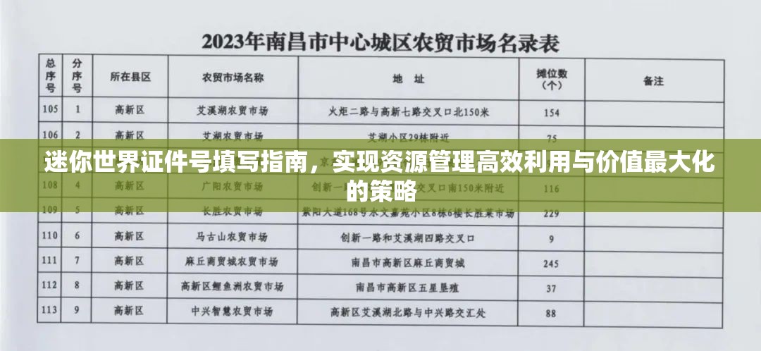 迷你世界证件号填写指南，实现资源管理高效利用与价值最大化的策略