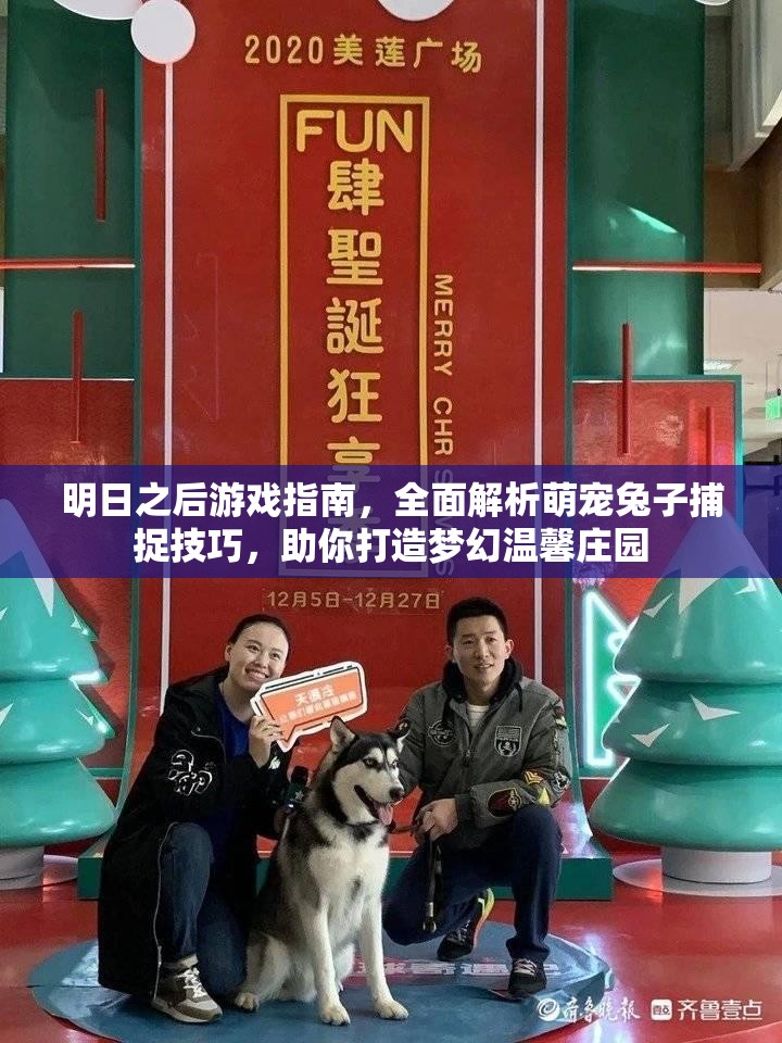 明日之后游戏指南，全面解析萌宠兔子捕捉技巧，助你打造梦幻温馨庄园