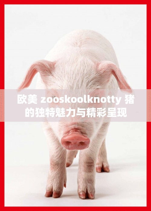 欧美 zooskoolknotty 猪的独特魅力与精彩呈现