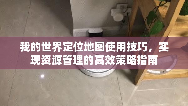 我的世界定位地图使用技巧，实现资源管理的高效策略指南