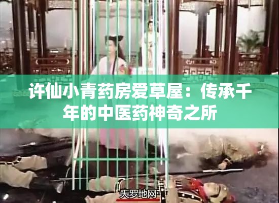 许仙小青药房爱草屋：传承千年的中医药神奇之所