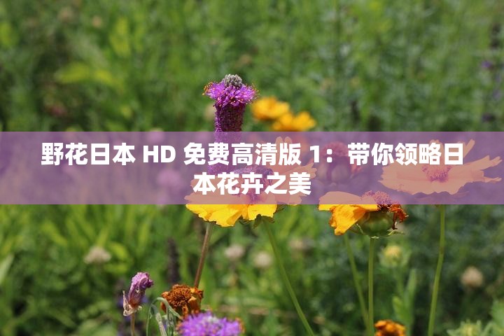 野花日本 HD 免费高清版 1：带你领略日本花卉之美