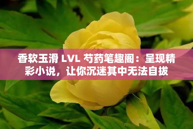 香软玉滑 LVL 芍药笔趣阁：呈现精彩小说，让你沉迷其中无法自拔