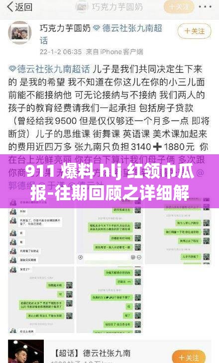 911 爆料 hlj 红领巾瓜报-往期回顾之详细解析与深度探讨