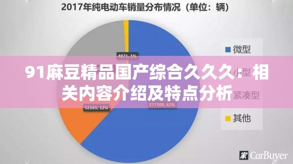 91麻豆精品国产综合久久久：相关内容介绍及特点分析