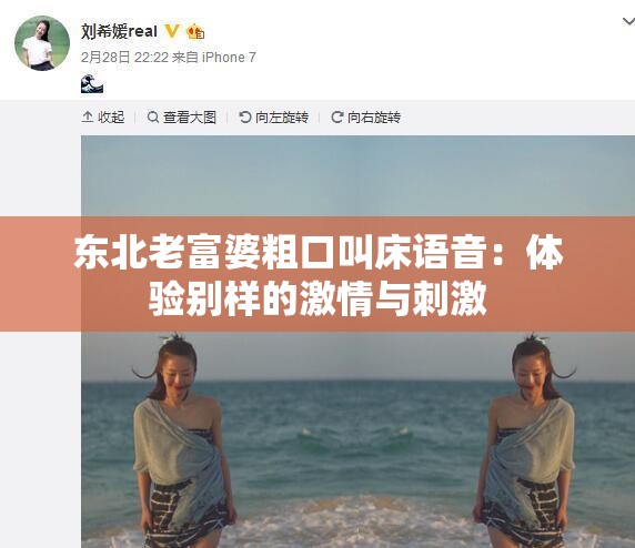 东北老富婆粗口叫床语音：体验别样的激情与刺激