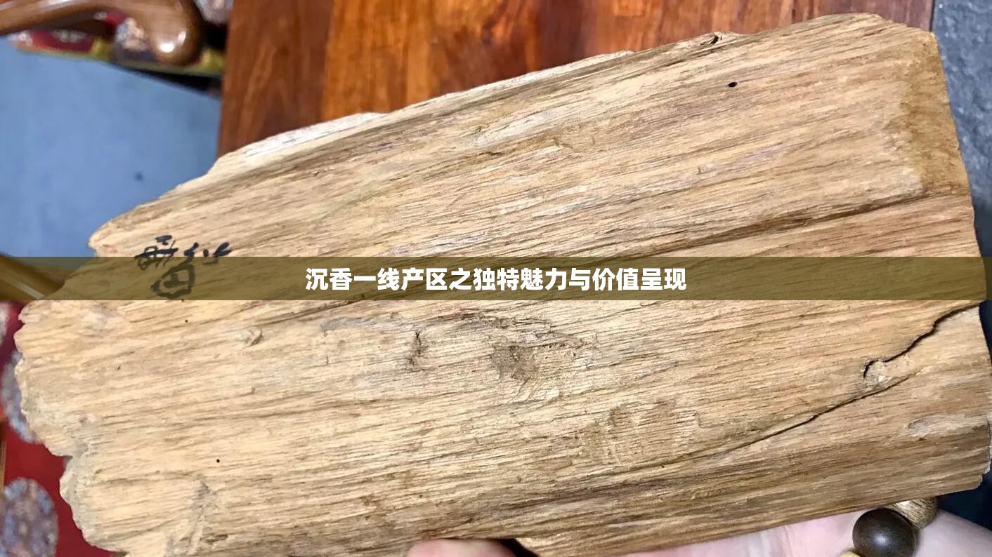 沉香一线产区之独特魅力与价值呈现