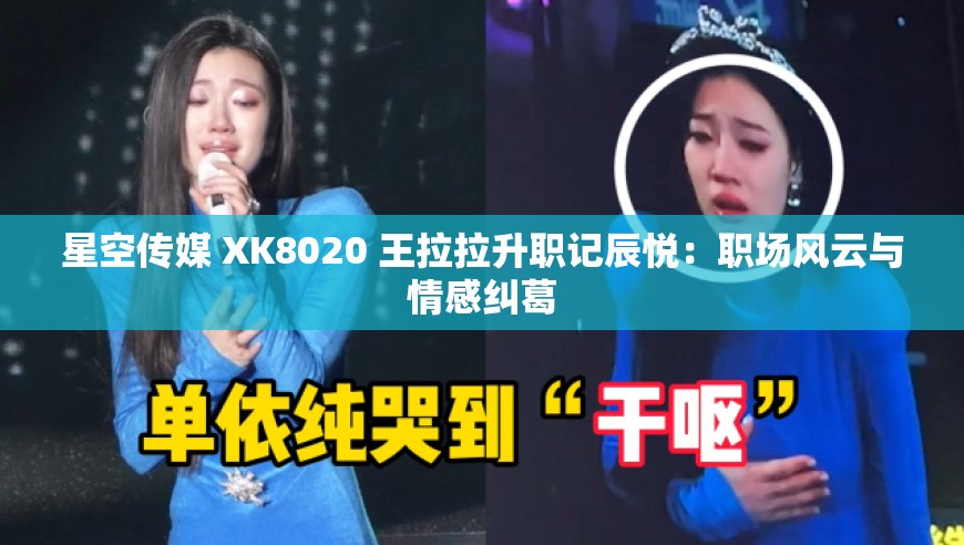 星空传媒 XK8020 王拉拉升职记辰悦：职场风云与情感纠葛