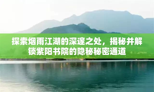 探索烟雨江湖的深邃之处，揭秘并解锁紫阳书院的隐秘秘密通道