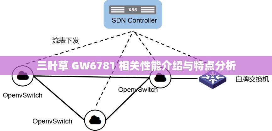 三叶草 GW6781 相关性能介绍与特点分析