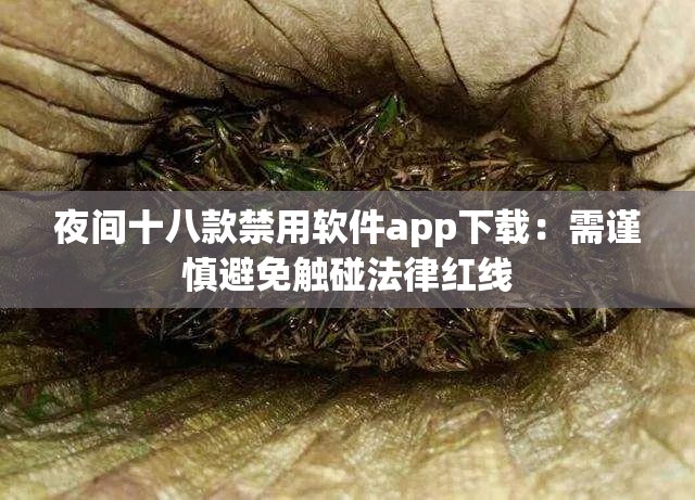 夜间十八款禁用软件app下载：需谨慎避免触碰法律红线