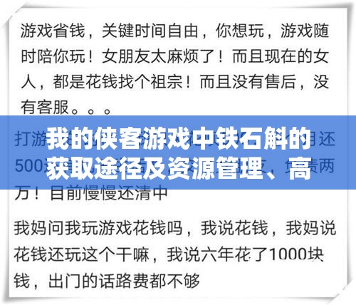 我的侠客游戏中铁石斛的获取途径及资源管理、高效利用与防浪费策略