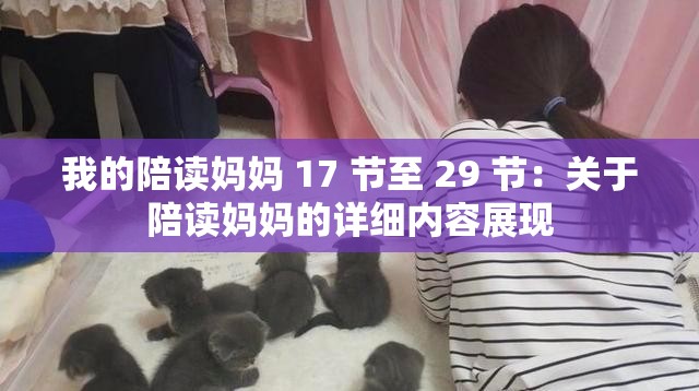 我的陪读妈妈 17 节至 29 节：关于陪读妈妈的详细内容展现