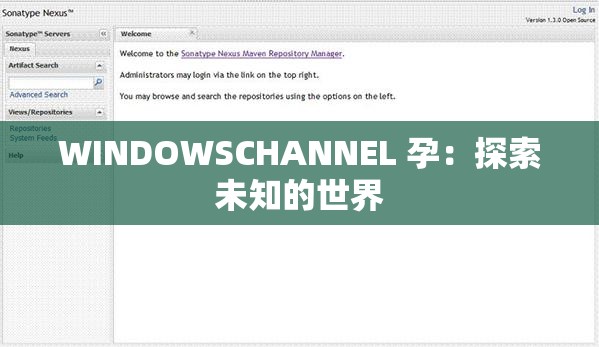 WINDOWSCHANNEL 孕：探索未知的世界