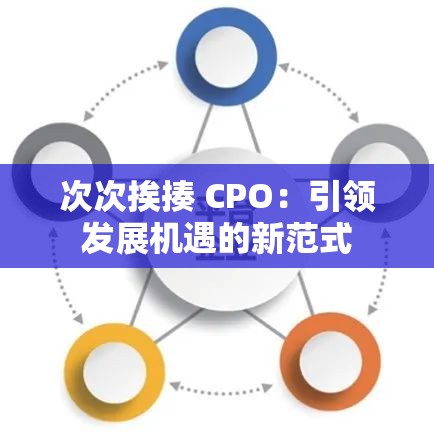 次次挨揍 CPO：引领发展机遇的新范式