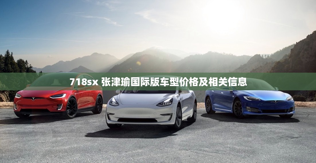 718sx 张津瑜国际版车型价格及相关信息