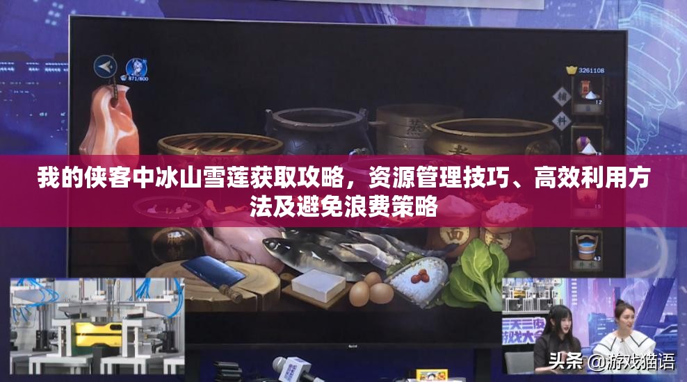 我的侠客中冰山雪莲获取攻略，资源管理技巧、高效利用方法及避免浪费策略