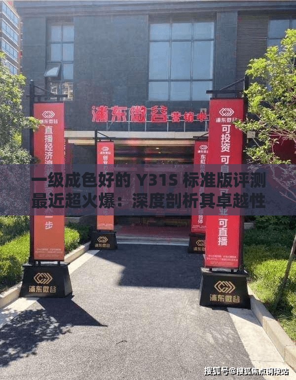 一级成色好的 Y31S 标准版评测最近超火爆：深度剖析其卓越性能