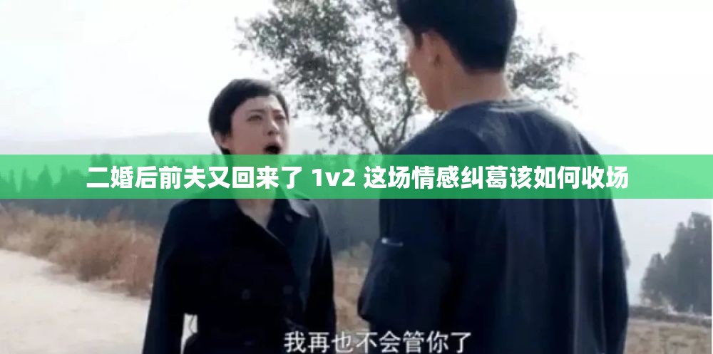 二婚后前夫又回来了 1v2 这场情感纠葛该如何收场