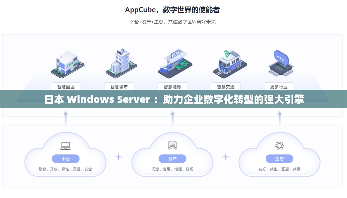 日本 Windows Server ：助力企业数字化转型的强大引擎