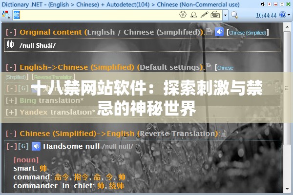 十八禁网站软件：探索刺激与禁忌的神秘世界