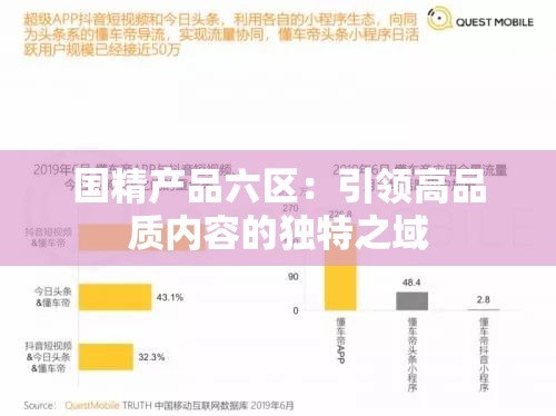 国精产品六区：引领高品质内容的独特之域