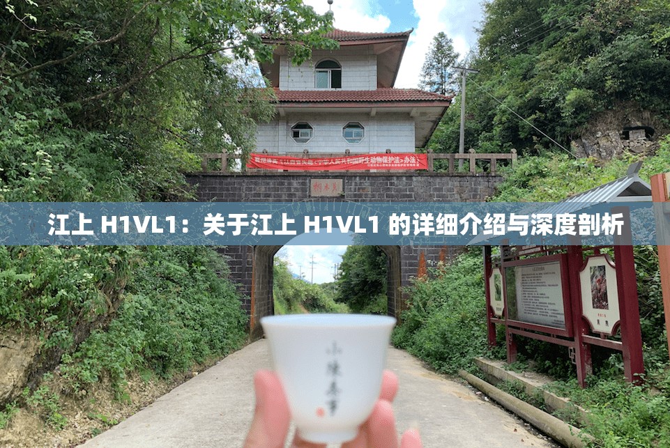 江上 H1VL1：关于江上 H1VL1 的详细介绍与深度剖析