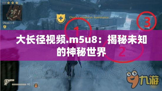 大长径视频.m5u8：揭秘未知的神秘世界