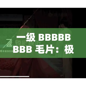 一级 BBBBBBBB 毛片：极致刺激的视觉盛宴