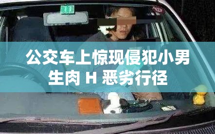 公交车上惊现侵犯小男生肉 H 恶劣行径