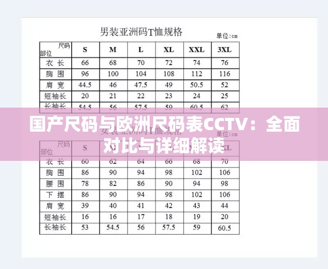 国产尺码与欧洲尺码表CCTV：全面对比与详细解读