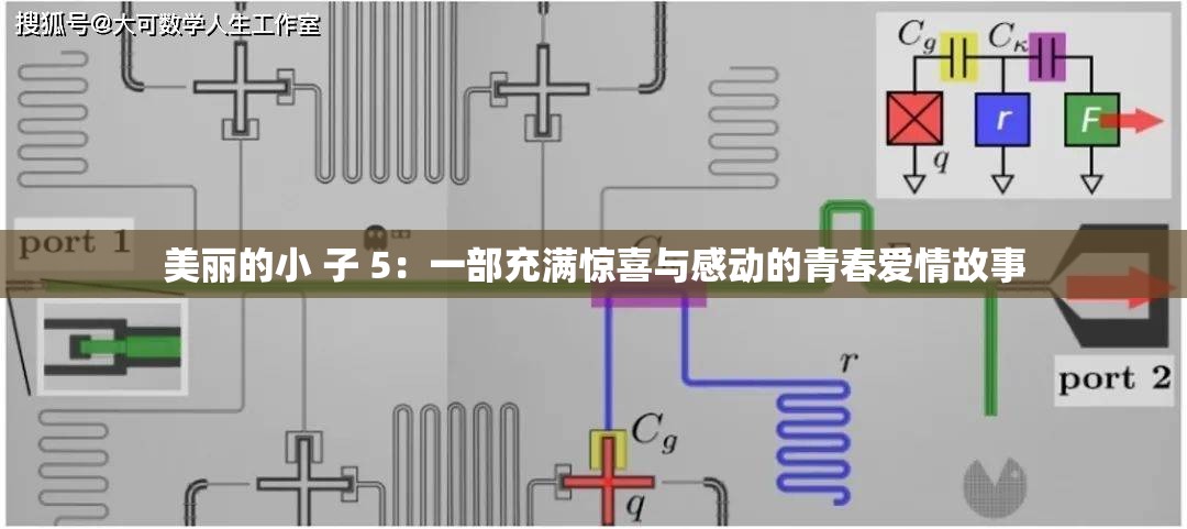 美丽的小 子 5：一部充满惊喜与感动的青春爱情故事