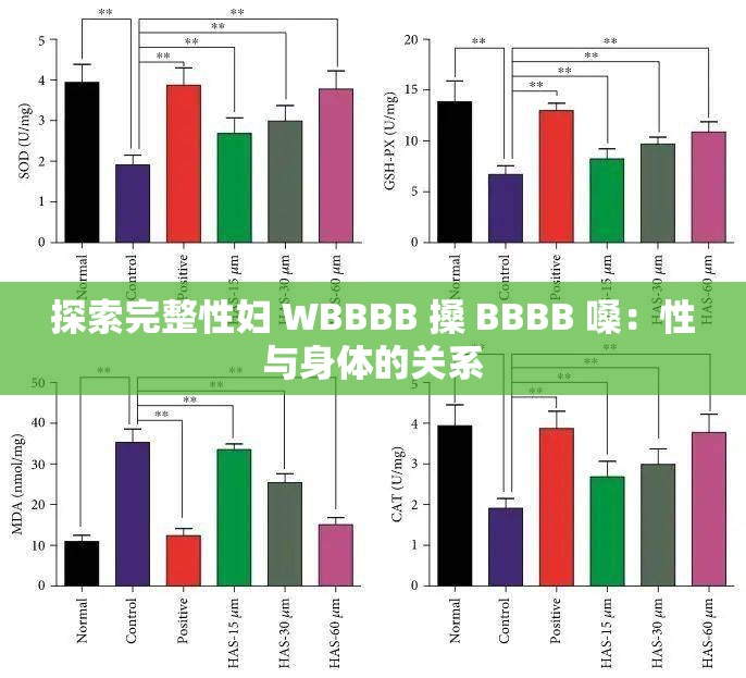 探索完整性妇 WBBBB 搡 BBBB 嗓：性与身体的关系