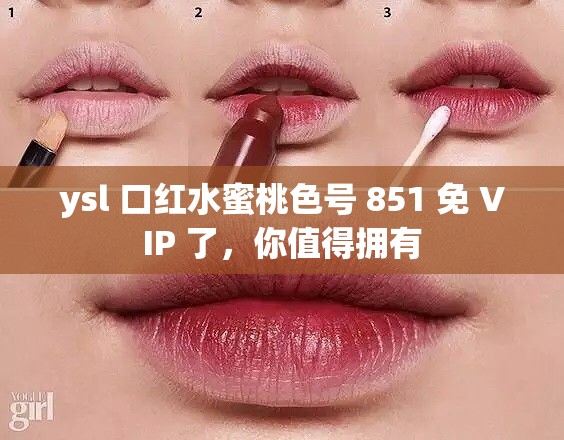 ysl 口红水蜜桃色号 851 免 VIP 了，你值得拥有