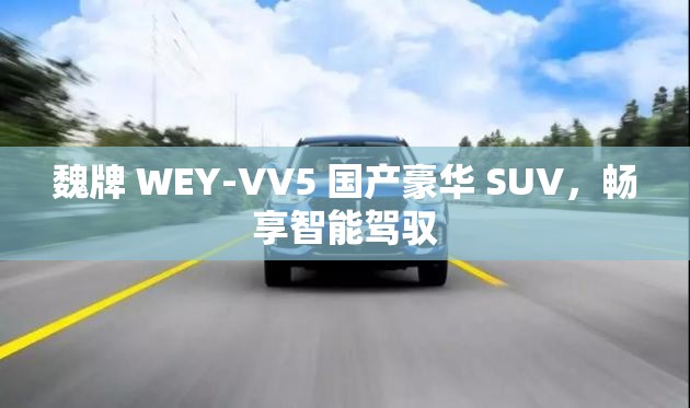 魏牌 WEY-VV5 国产豪华 SUV，畅享智能驾驭