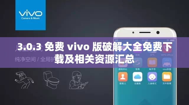 3.0.3 免费 vivo 版破解大全免费下载及相关资源汇总