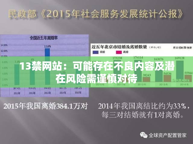 13禁网站：可能存在不良内容及潜在风险需谨慎对待