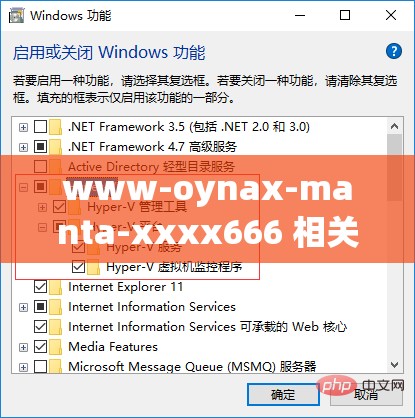 www-oynax-manta-xxxx666 相关内容详细解析