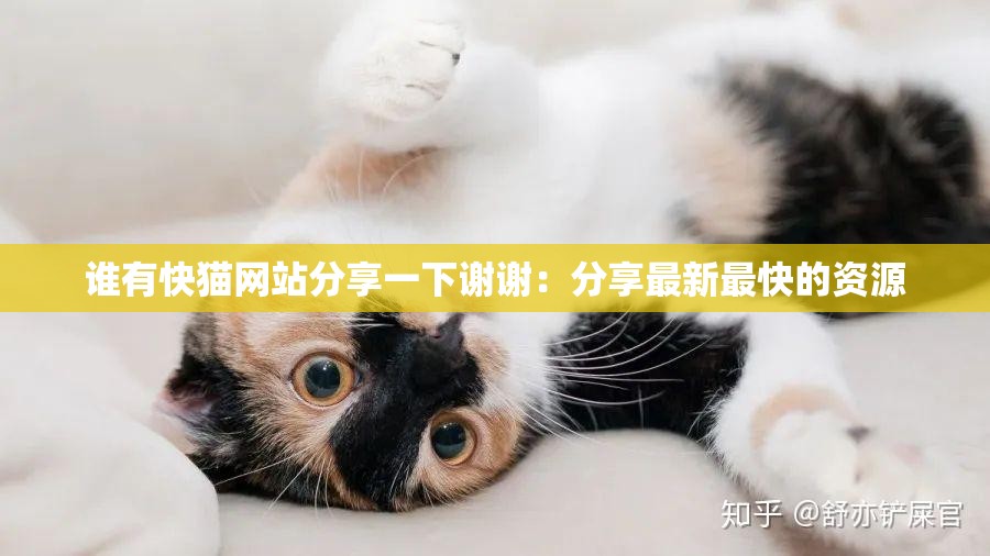 谁有快猫网站分享一下谢谢：分享最新最快的资源