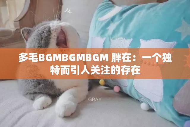 多毛BGMBGMBGM 胖在：一个独特而引人关注的存在