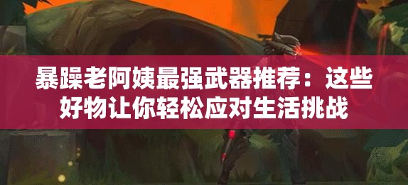 暴躁老阿姨最强武器推荐：这些好物让你轻松应对生活挑战